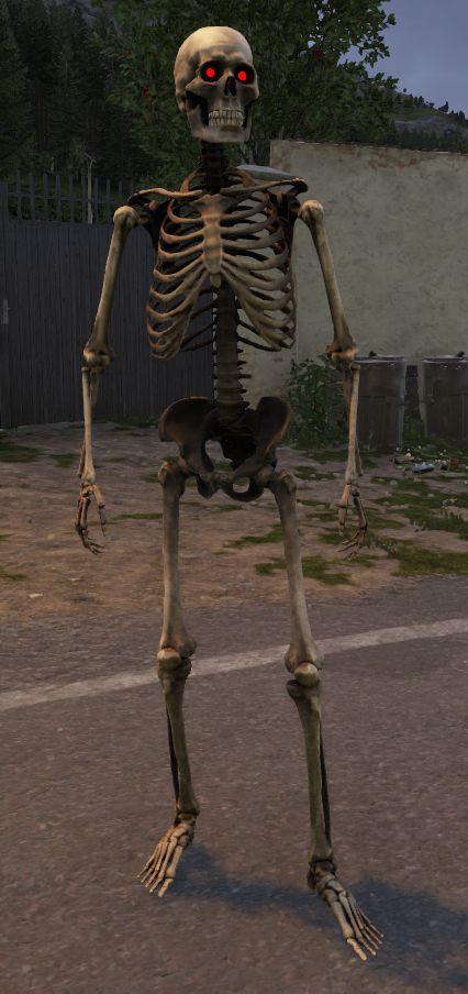 SkeletonAssets