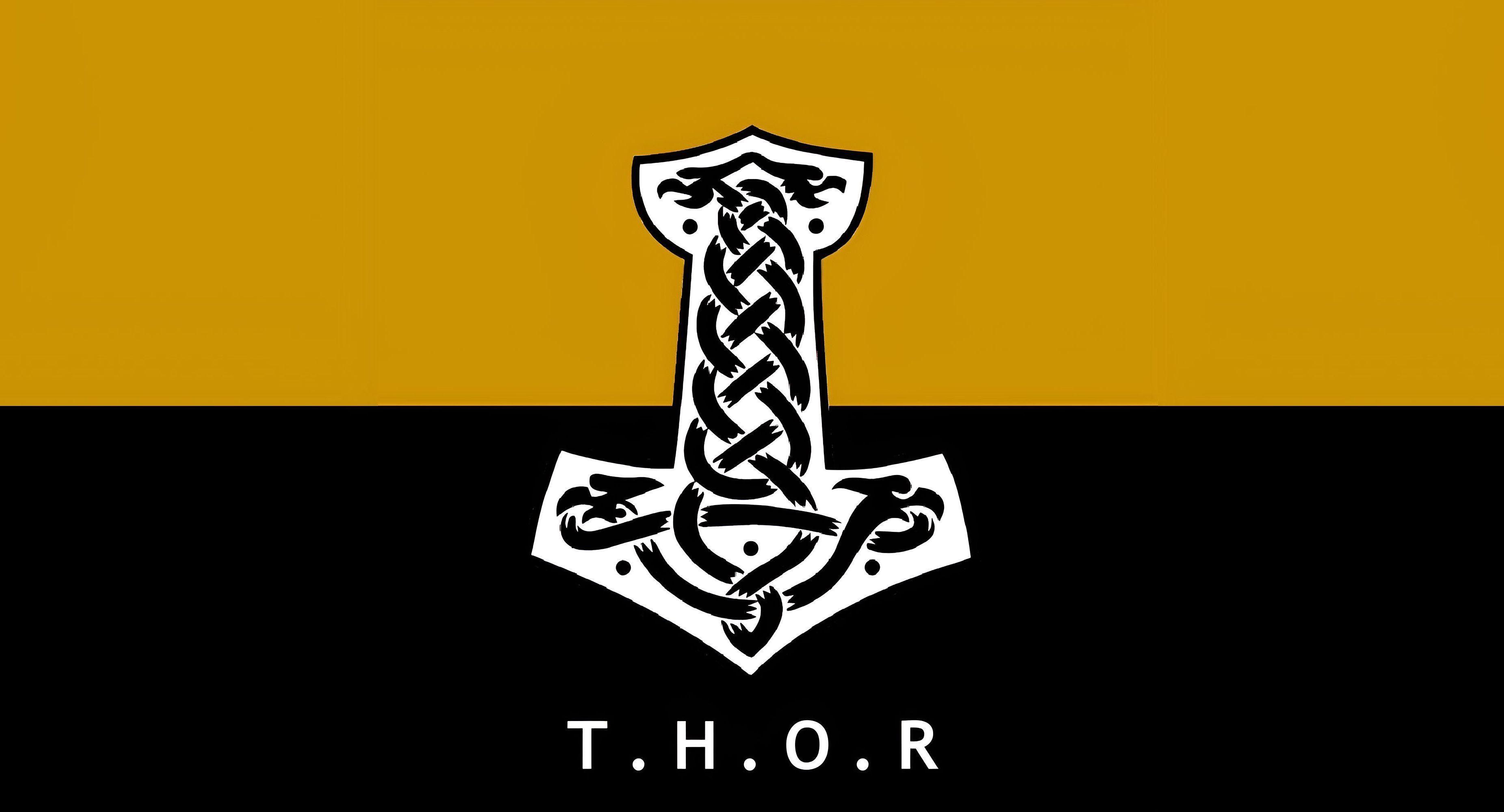 T.H.O.R PMC Patches