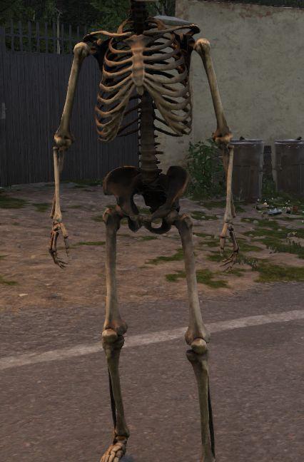 SkeletonAssets