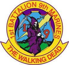 1st Battalion 9th Marines UI