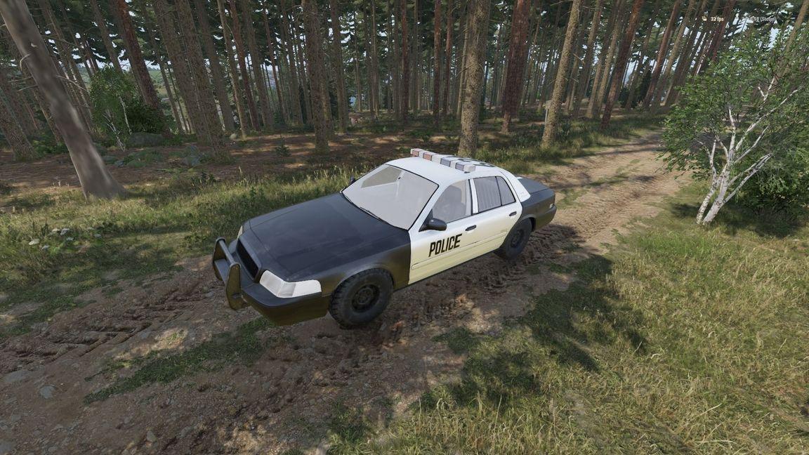 Police Squad Car